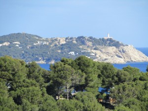 IMG_4457 (Medium)